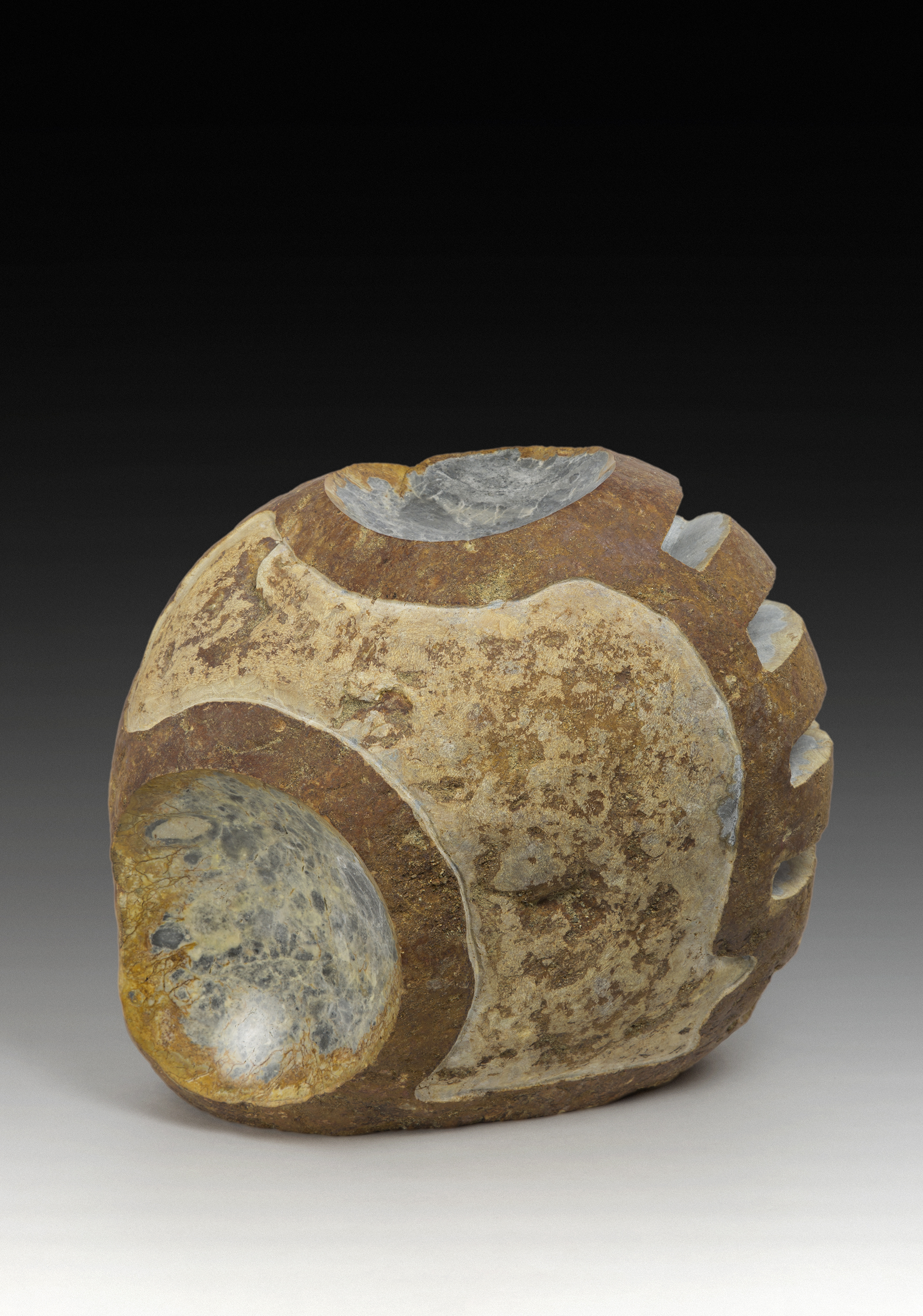 “What He Said”, igneous river rock, 14” tall, 2014 Deceptively hard stone. Looked almost crumbly before I touched it, but turns out to be crisp and hard. Mechanic and organic.