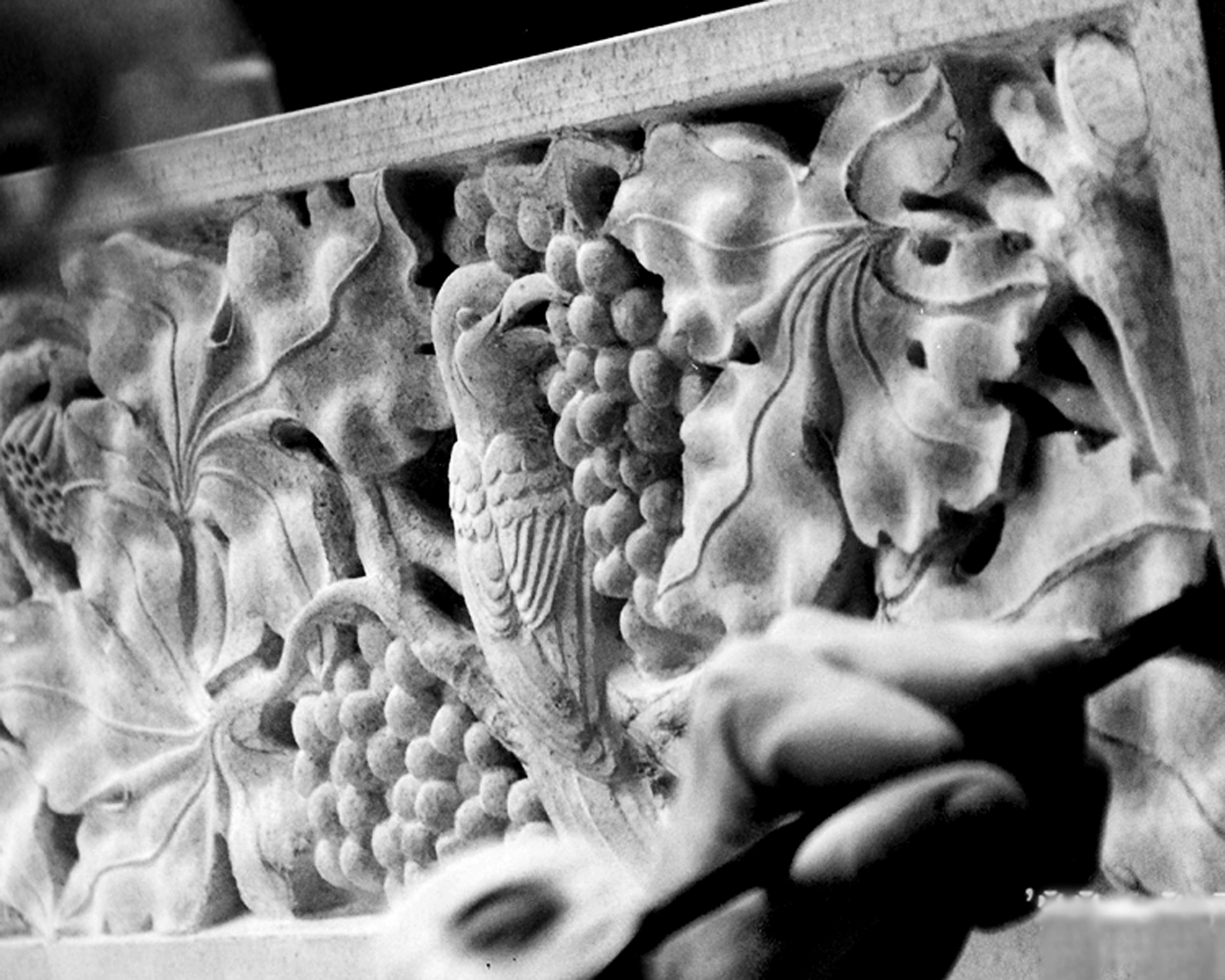 6)	Detail of fauna and flora on a limestone fireplace mantle, 2010, Austin TX- Photo: Holly Kincannon