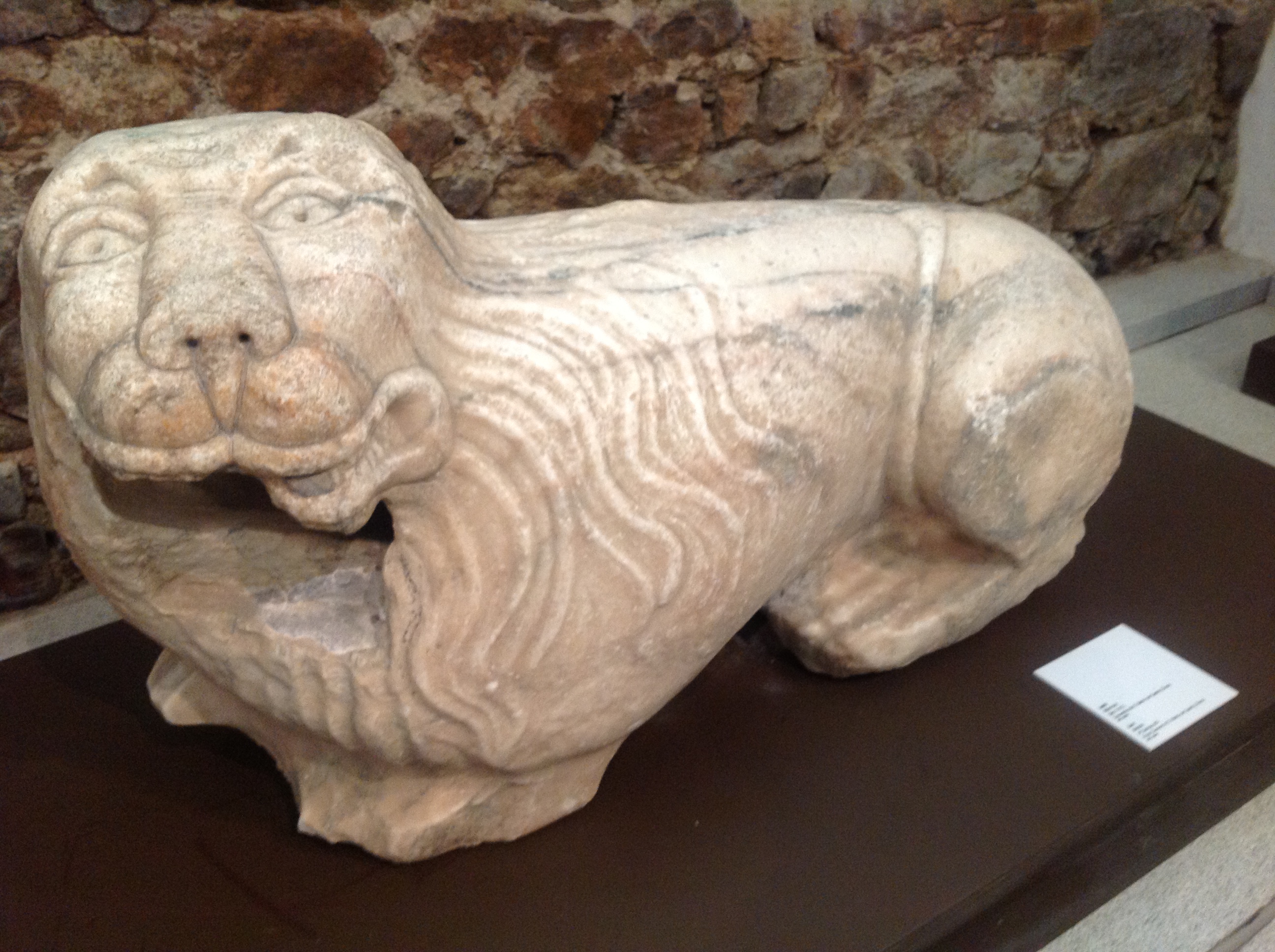 Roman Lion