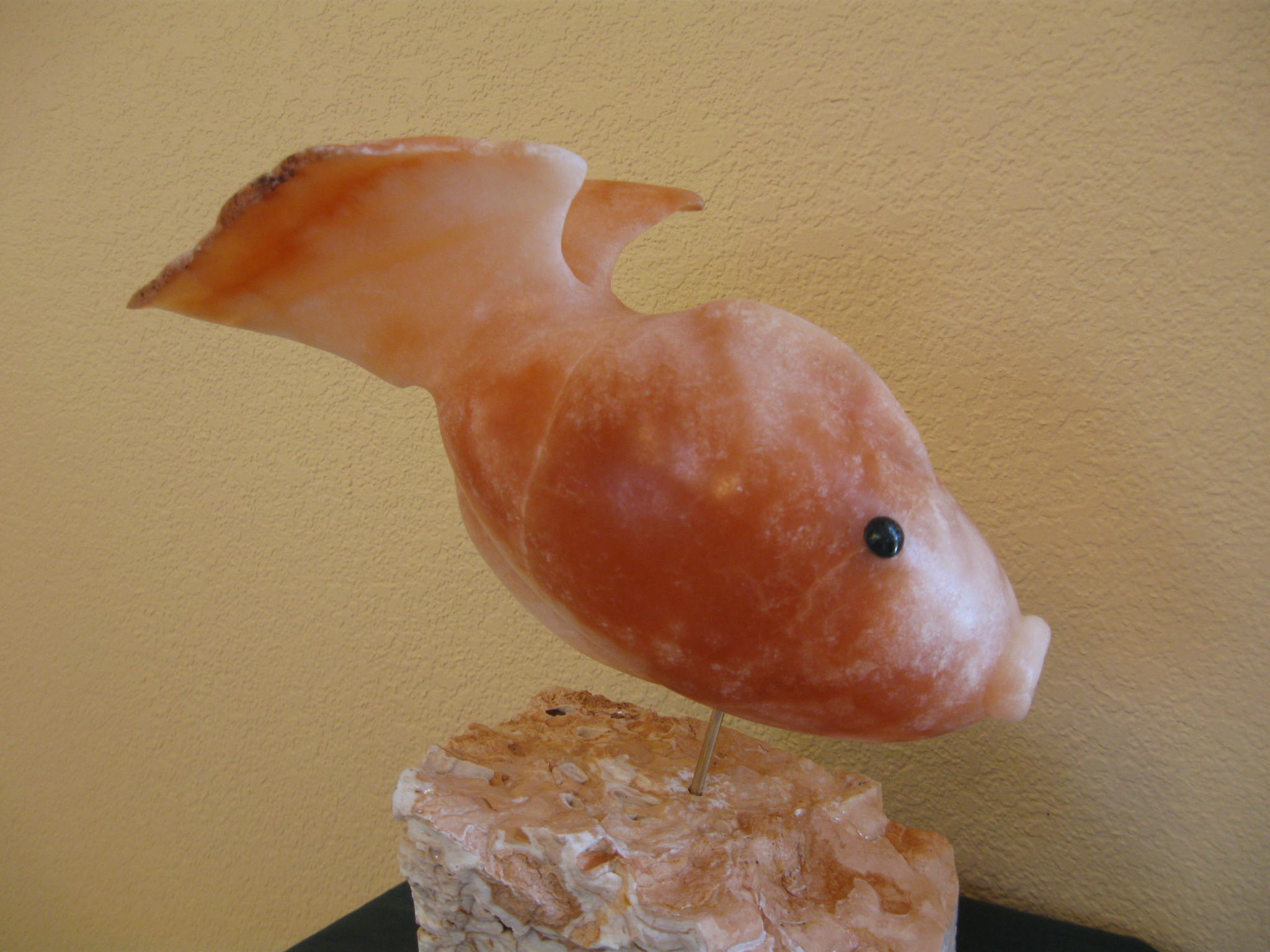 "Reef Fish" Alabaster on Travertine, 2015, Arliss Newcomb in Arizona