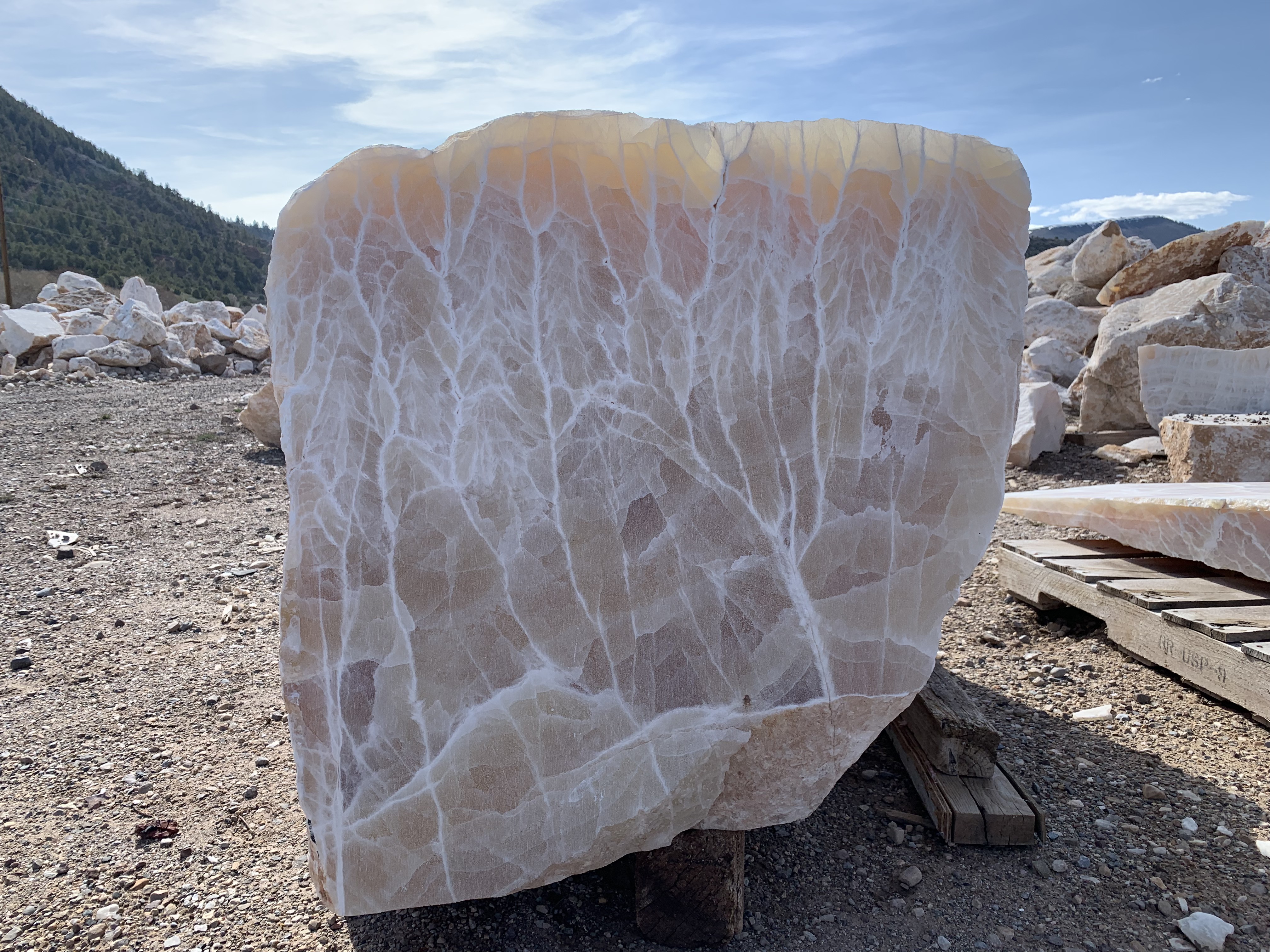 Calcite: Wonderful dendritic patterns