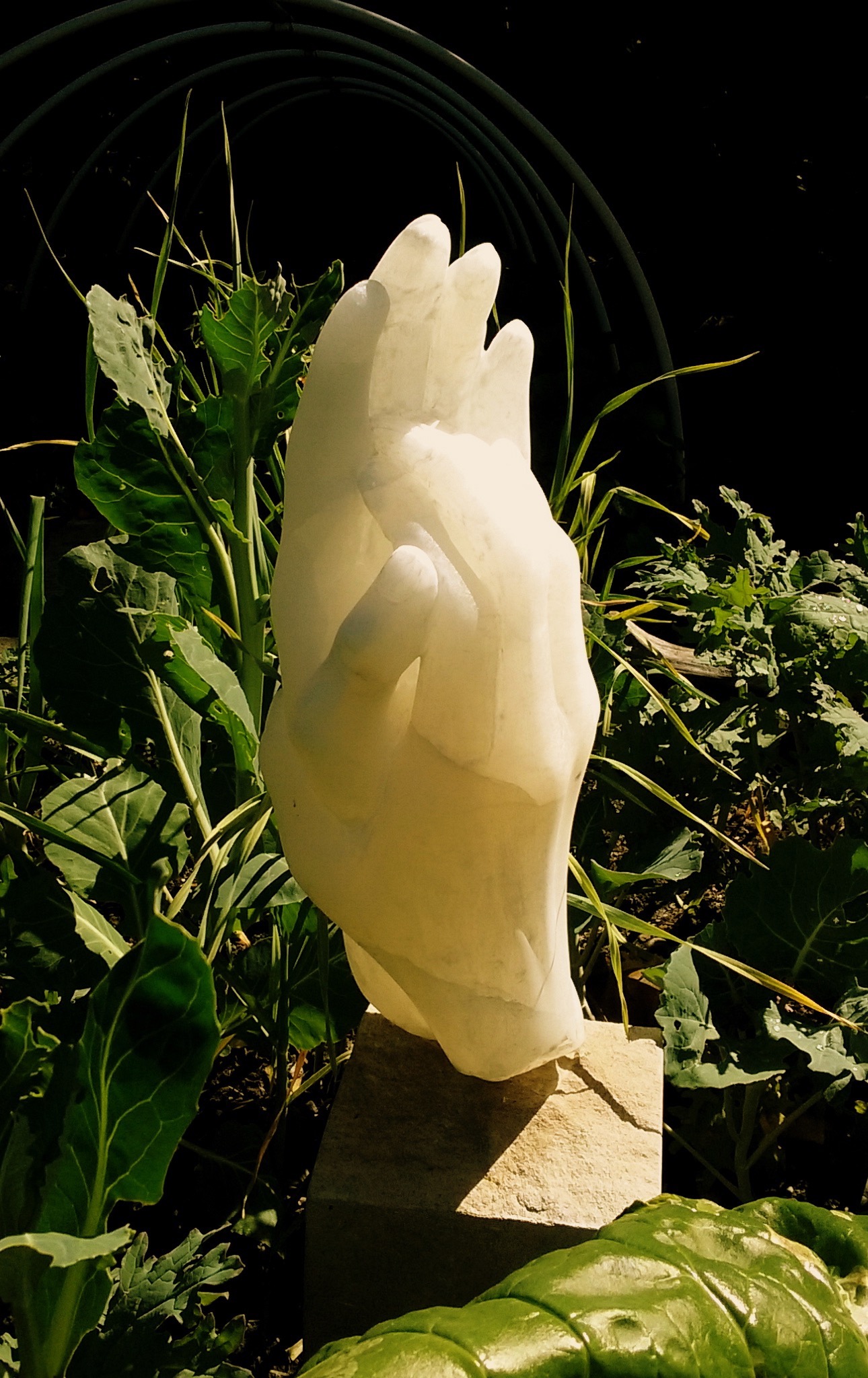 “Hands”, alabaster, 2015, 6” X 16” X 6” by Larry Lawlor