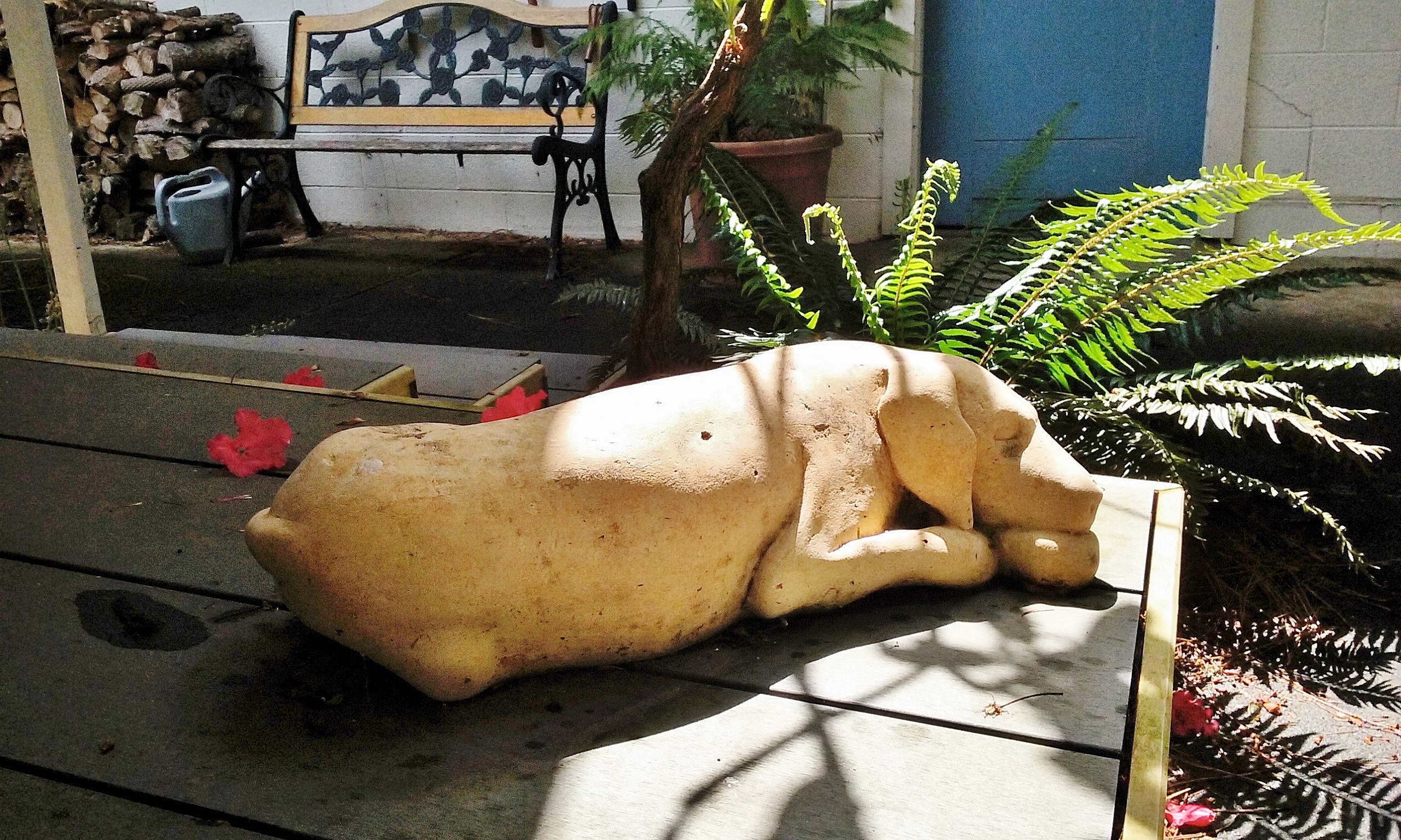 “Sleeping Dog”, limestone, 2011, 24” X 7” X 9” This is one of my earliest carvings, my first attempt at a horizontal three dimensional piece. It is based on a typical pose of our Dalmatian, Batia.