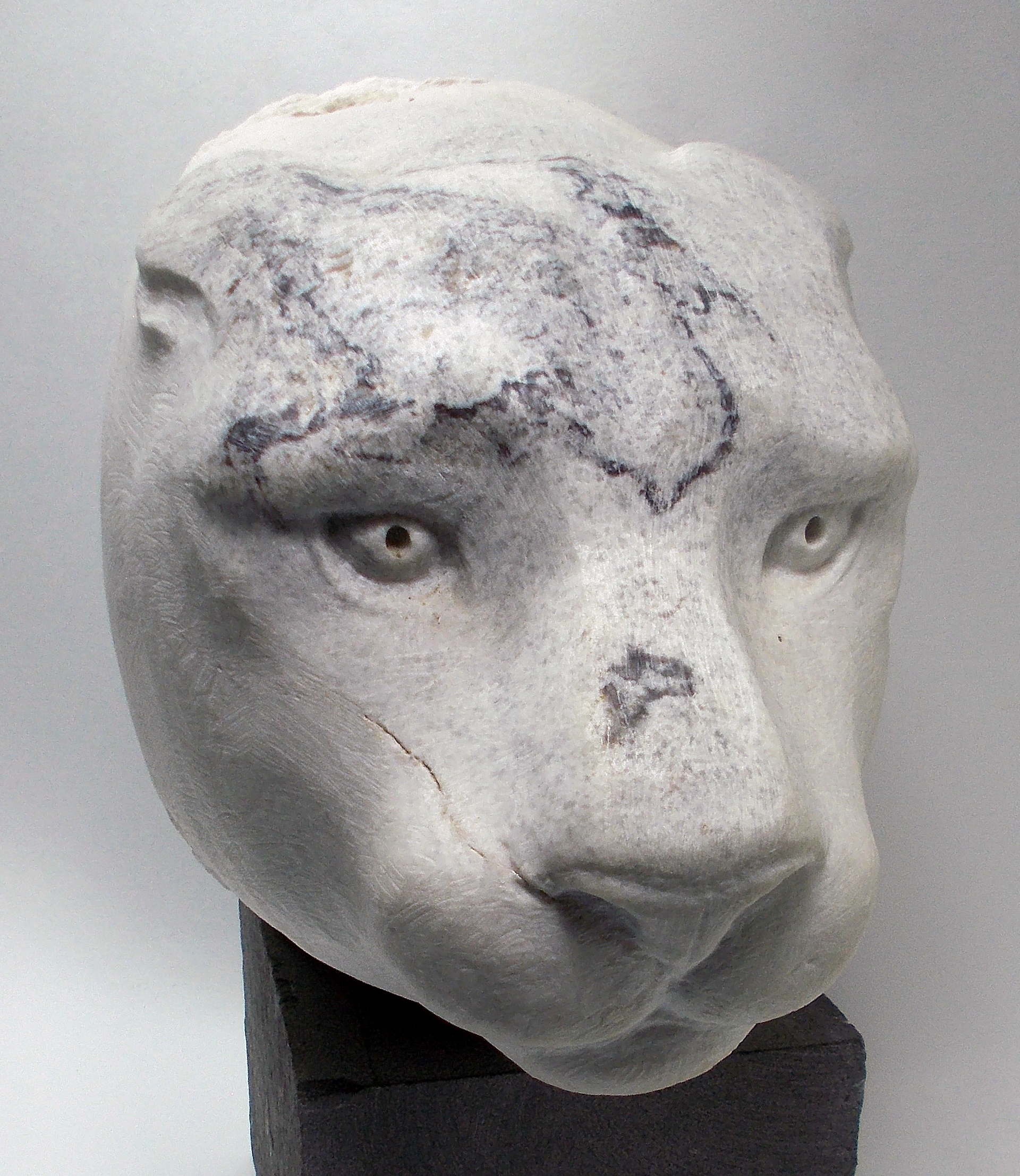 Mountain Lion, by Carole Duree Oregon Marble 5.5" x 6" x 11"