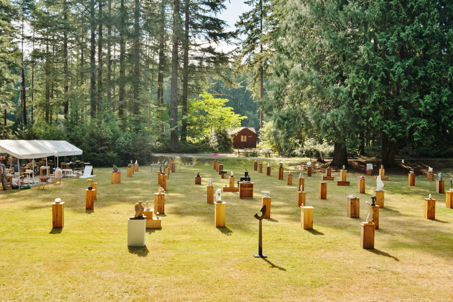 The Saturday Sculpture Show as seen from Huckleberry Lodge